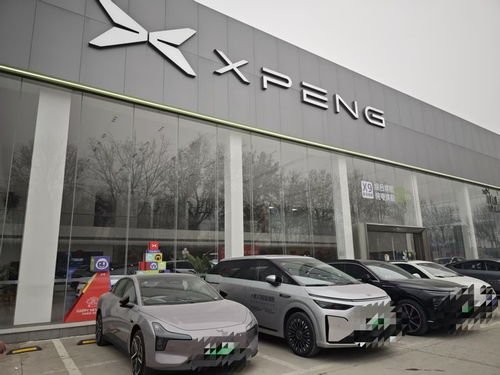 記者探訪濟南十余家汽車銷售門店 新能源汽車與合資品牌成市場焦點